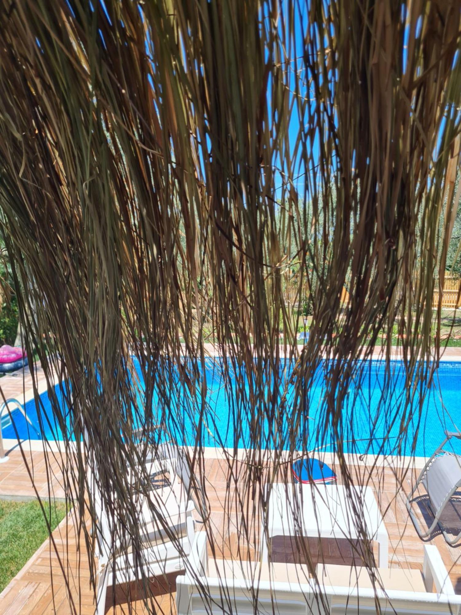 Vila Antik House İznik Exteriér fotografie